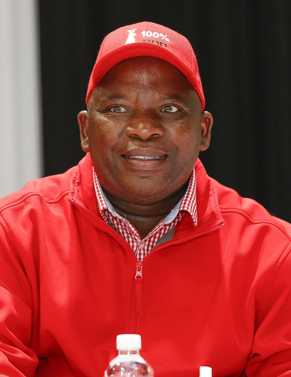 Deputy Secretary General
